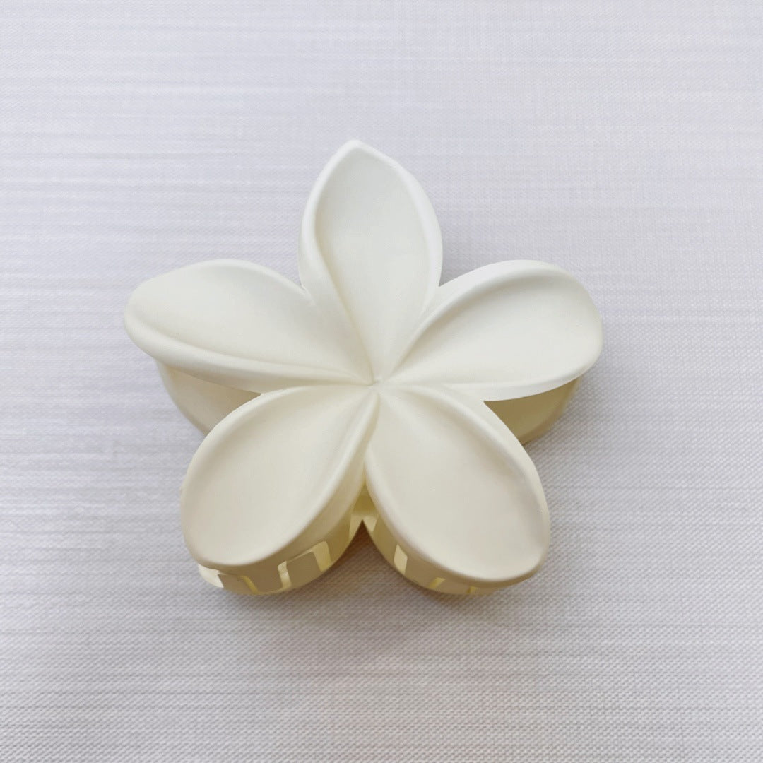 Frosted Holiday Hot Sale Side Grab Barrettes